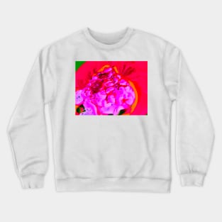 Bubblegum Pop Crewneck Sweatshirt